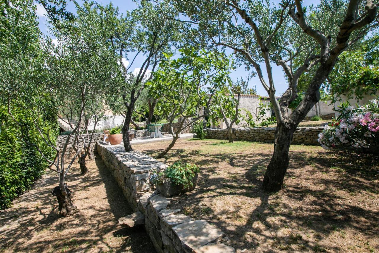 Apartment Vila Volicija Makarska Zewnętrze zdjęcie
