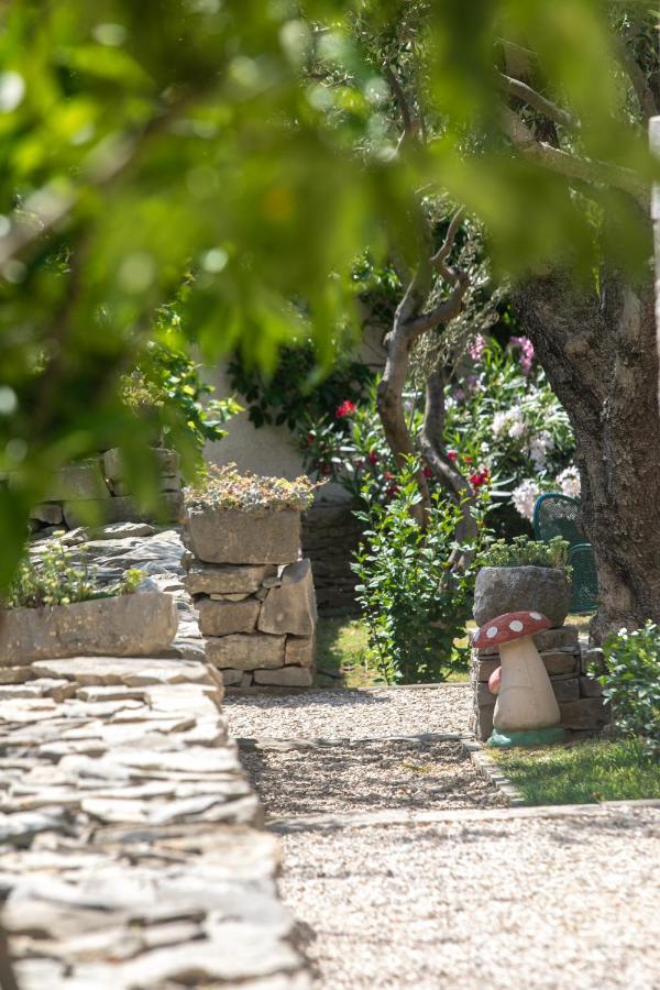 Apartment Vila Volicija Makarska Zewnętrze zdjęcie