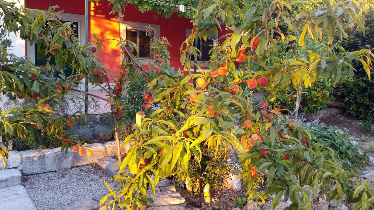 Apartment Vila Volicija Makarska Zewnętrze zdjęcie